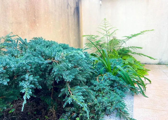 - De Furadouro - Rico's Homes Apartment *