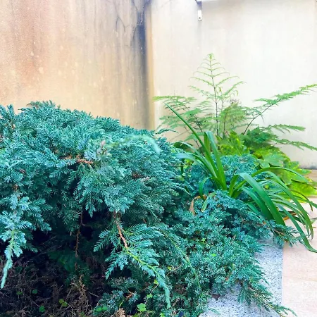 - De Furadouro - Rico's Homes Апартаменты *