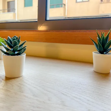 - De Furadouro - Rico's Homes * Овар